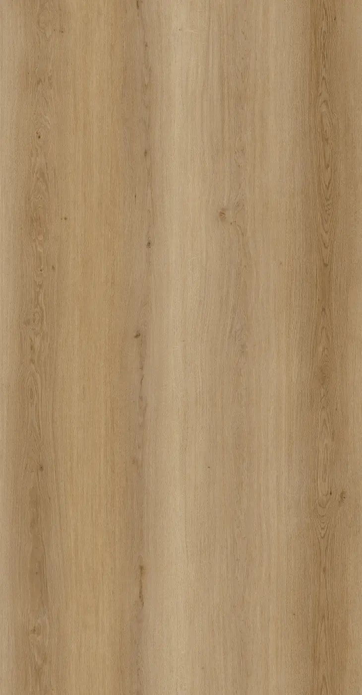 Deep Natural surface visual