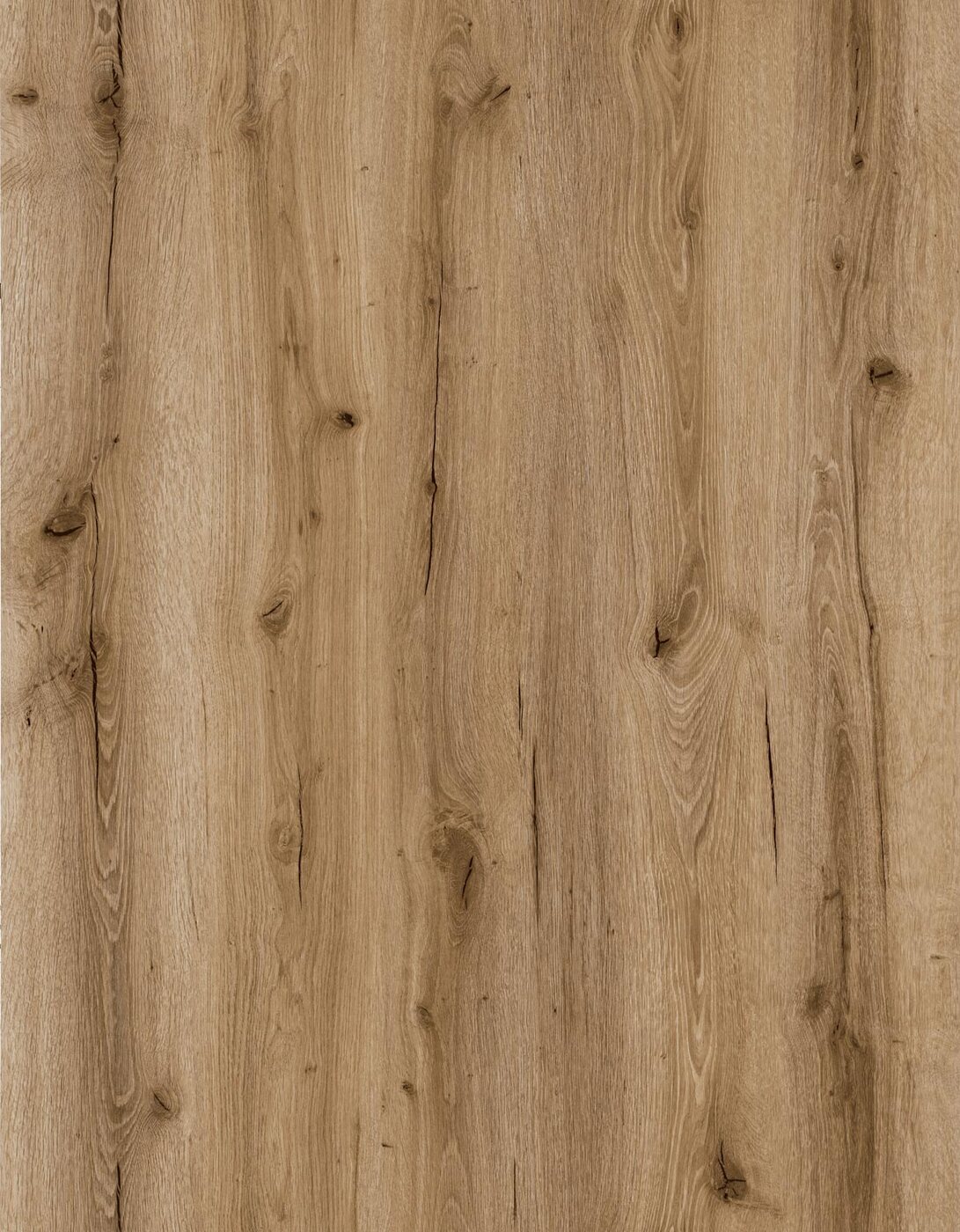 Yard Oak decor visual